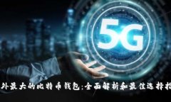 国外最大的比特币钱包：全面解析和最佳选择指